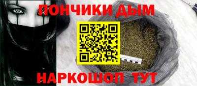 шишки Лесосибирск