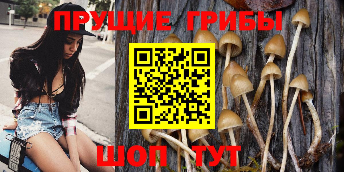 Димитровград  Галлюциногенные грибы мухоморы  Вход с VPN 